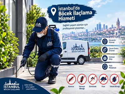BÖCEK İLAÇLAMA ŞİRKETİ İSTANBUL 