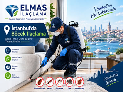 İstanbul Böcek İlaçlama